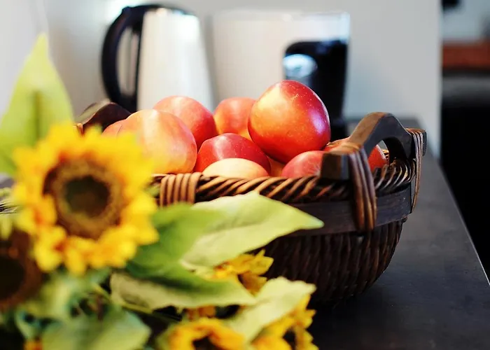 423 W Pieciogwiazdkowym Royal Tulip Plaza 200 M Dobruk *