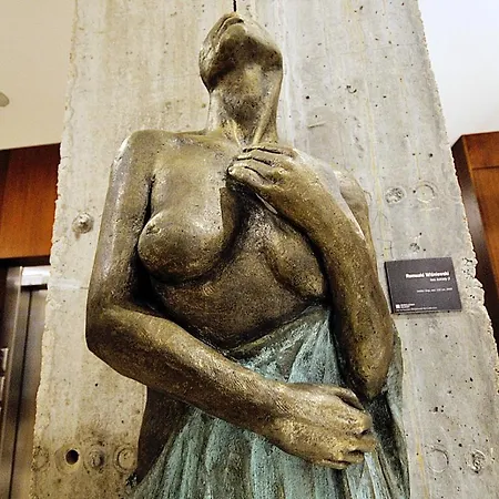 423 W Pieciogwiazdkowym Royal Tulip Plaza 200 M Dobruk *