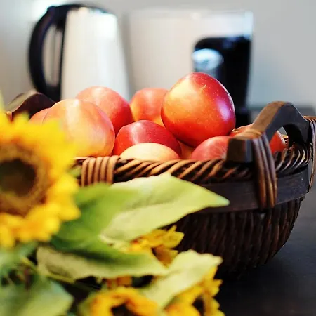 423 W Pieciogwiazdkowym Royal Tulip Plaza 200 M Dobruk *